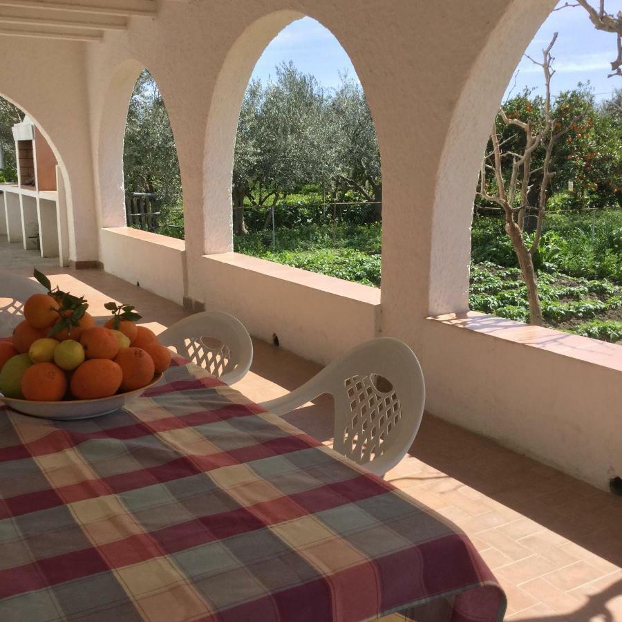 El Cortijo De La Abuela Casa de hóspedes Benahadux Exterior foto