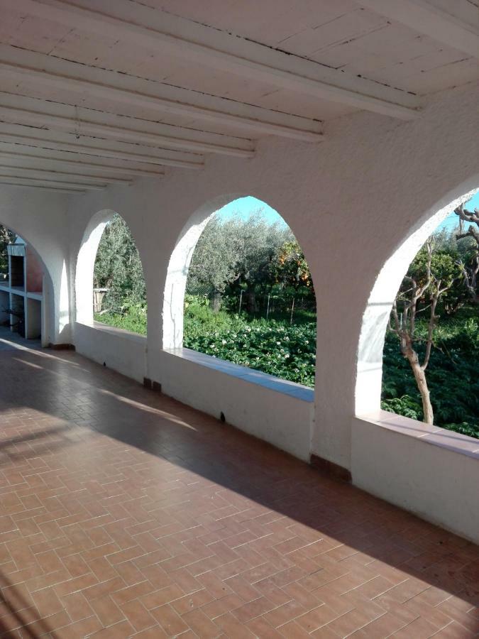 El Cortijo De La Abuela Casa de hóspedes Benahadux Exterior foto